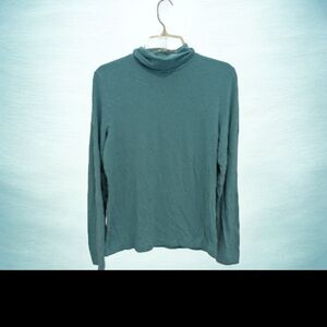 Banana Republic Womens Turtleneck Sweater in Teal